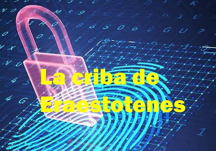 Elasticidad economica